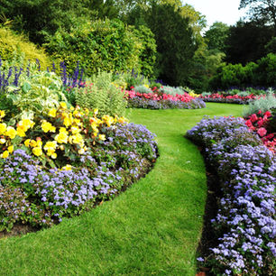 Hübscher Garten