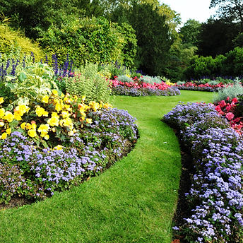 Colorful Flower Garden