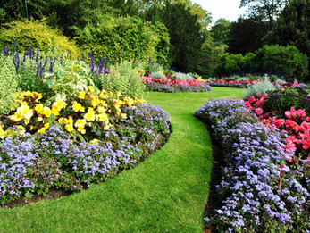 Hübscher Garten