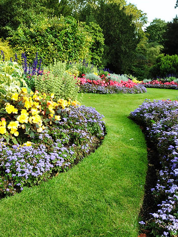 Green Garden