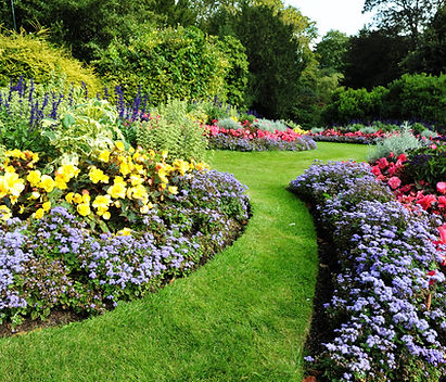 Colorful Flower Garden