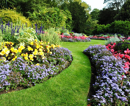 Colorful Flower Garden
