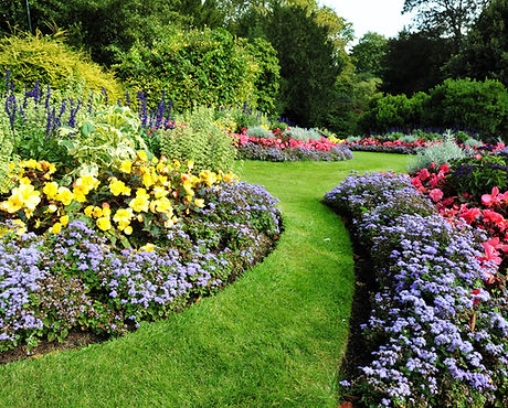 Colorful Flower Garden