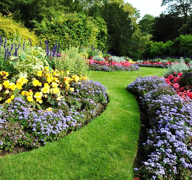 Home Hannibal Garden Center