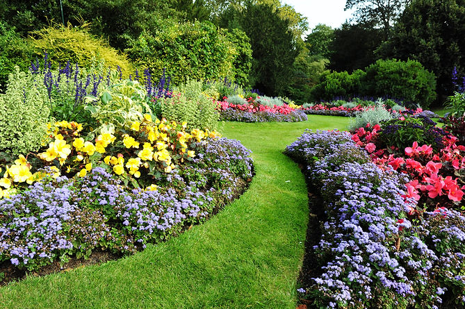 Colorful Flower Garden