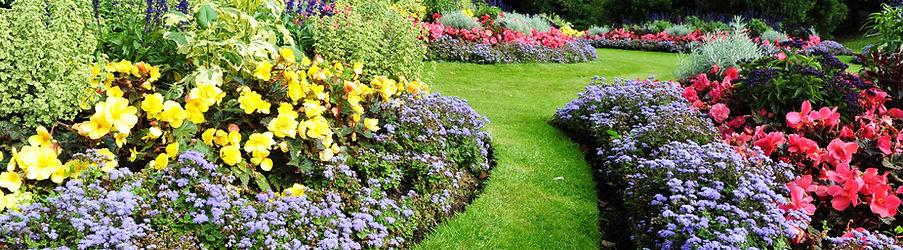 Carefully designed flower beds and borders