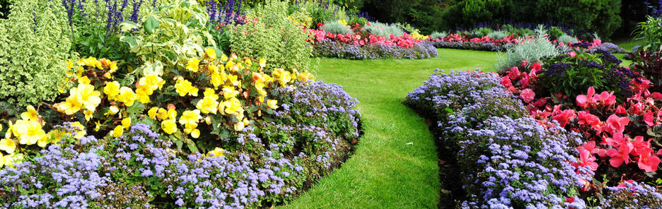 Hübscher Garten
