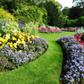 The joy of being an Extension Master Gardener