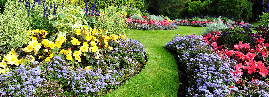 Pretty Garden
