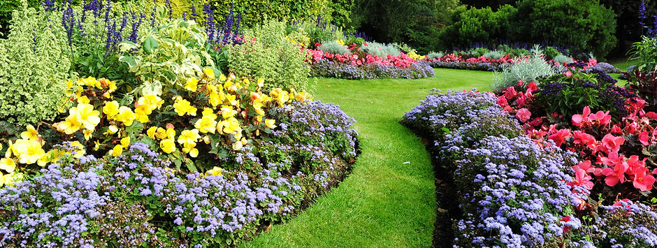 Pretty Garden