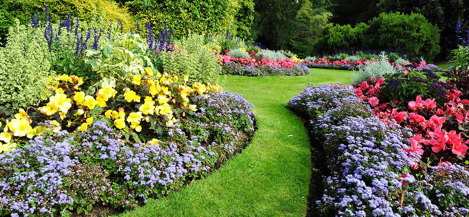 Pretty Garden