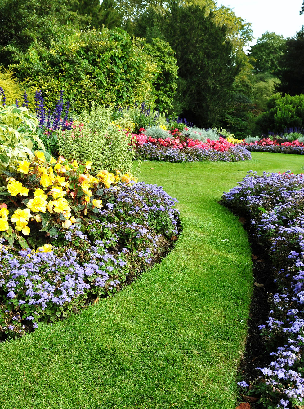 Green Garden