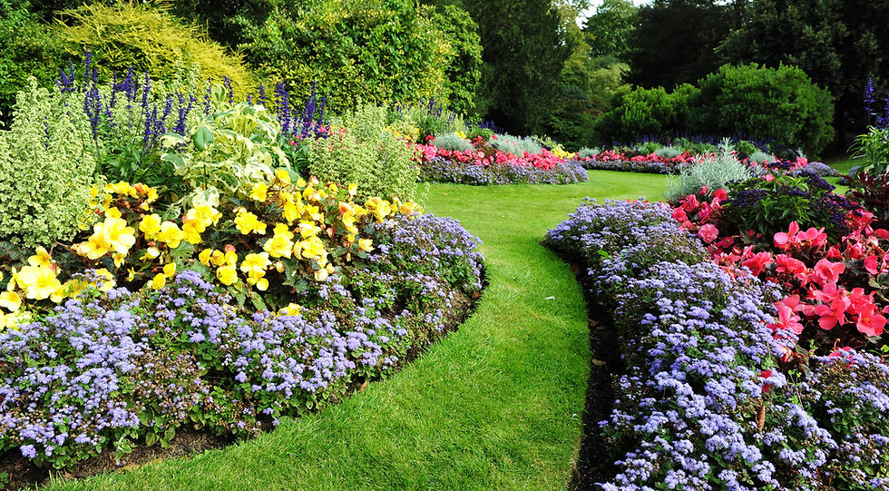 Green Garden