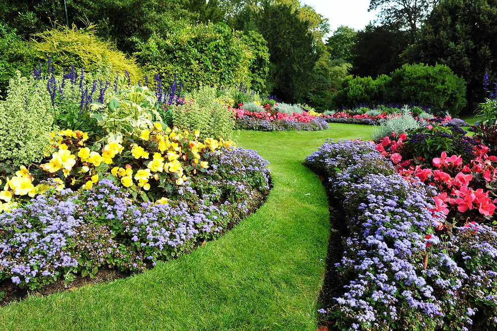 Jardin jolie