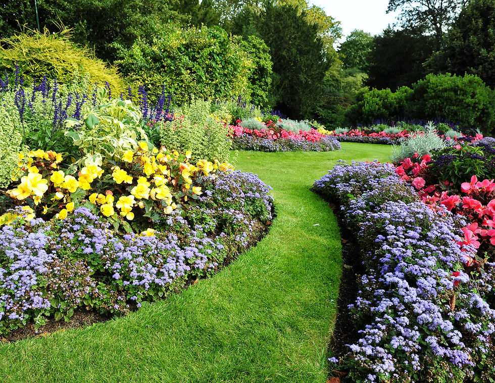Green Garden