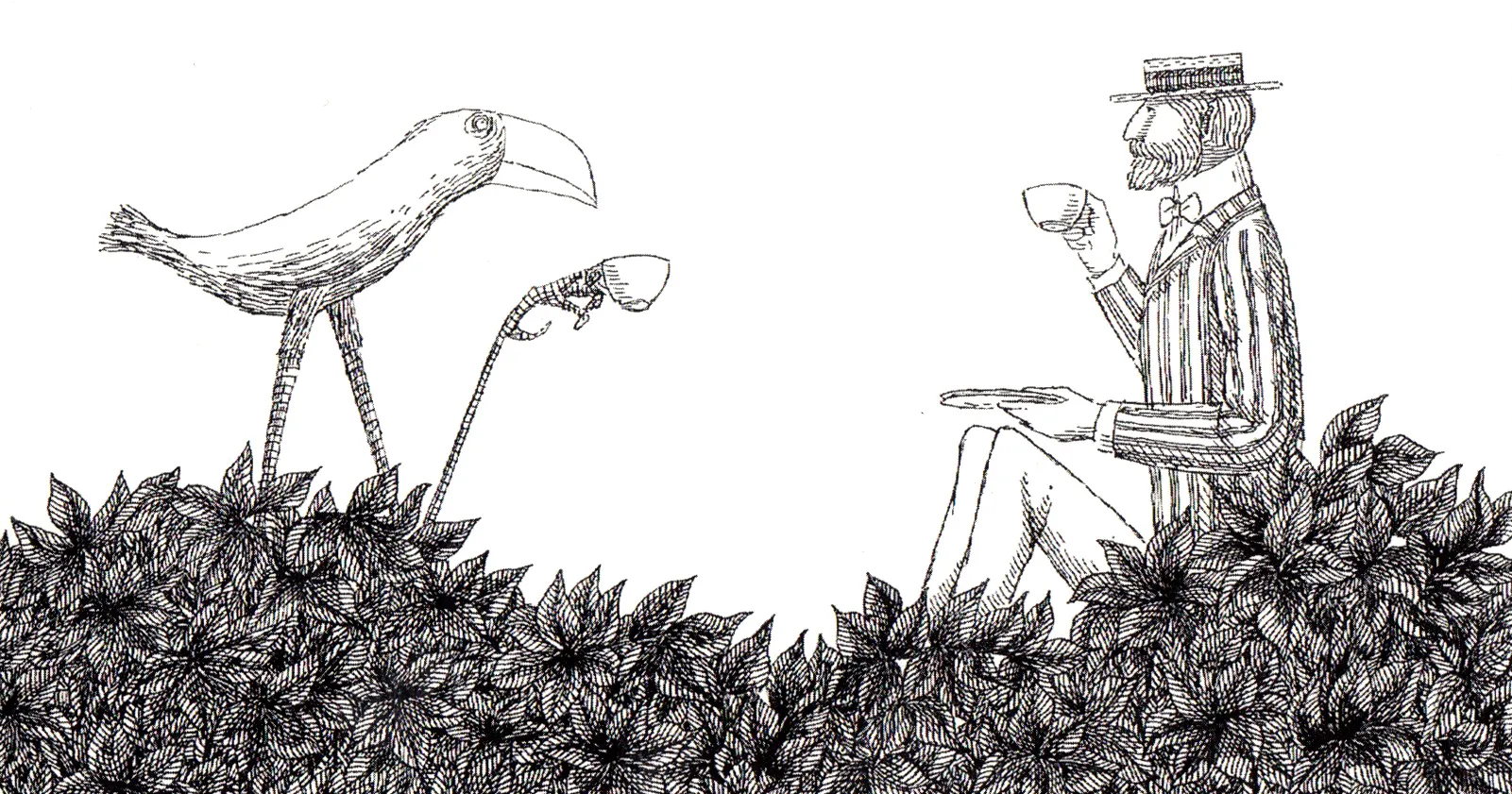 theosbickbird_edwardgorey0.webp