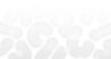 Achtergrond wit.png