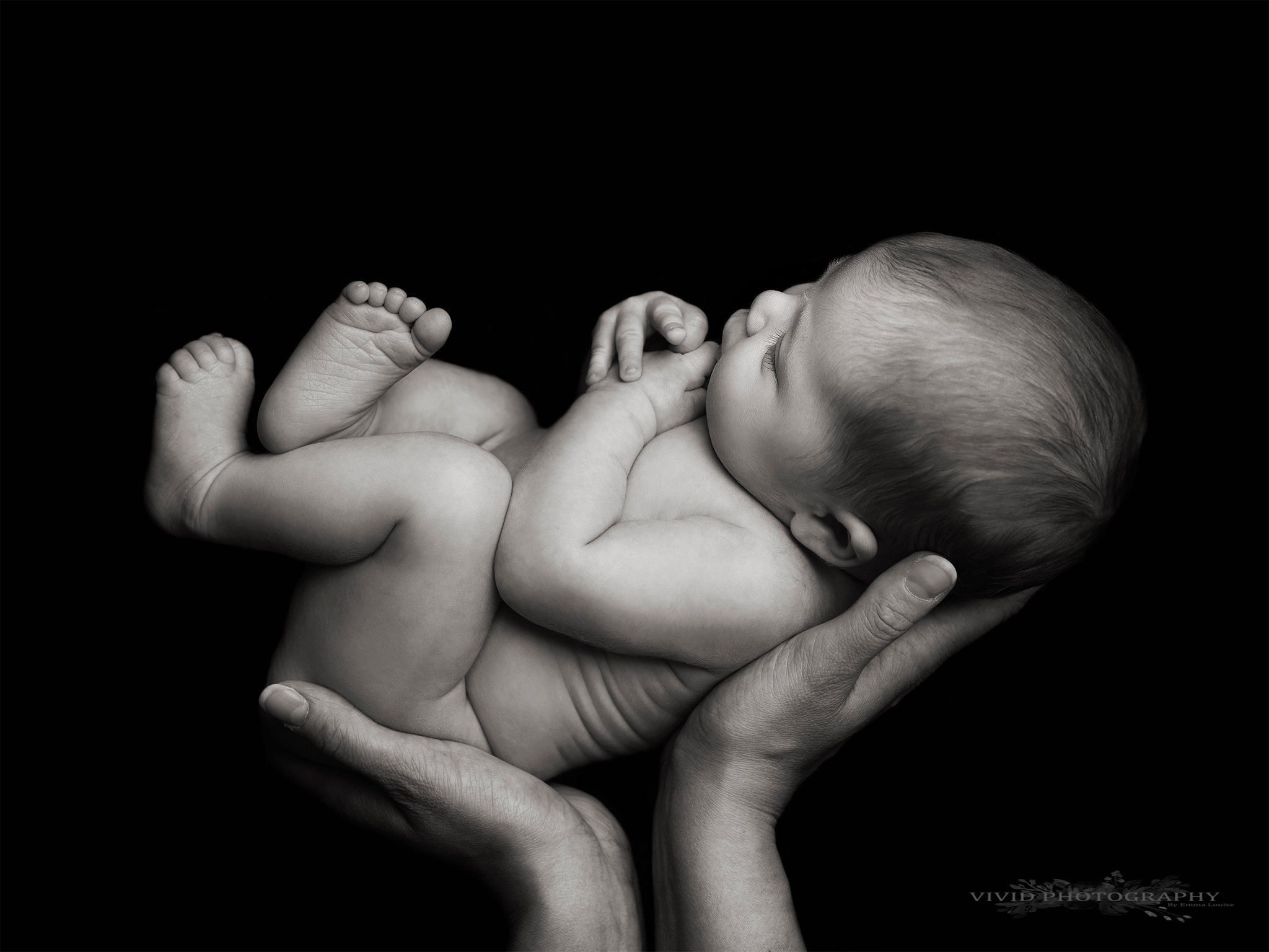 Final Payment - Newborn Session - Collection 2