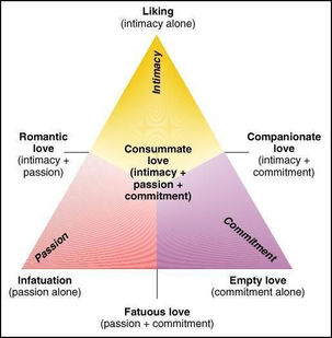 Love under the microscope: Does everybody love the same?