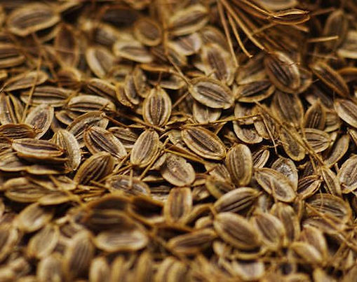 Dill Seed
