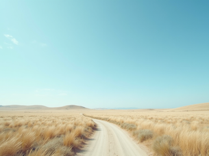 Organizational Capacity: Key Strategies for Lasting Transformation