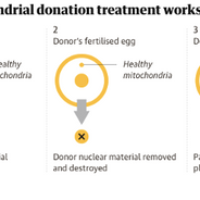 This is not a three-parent child