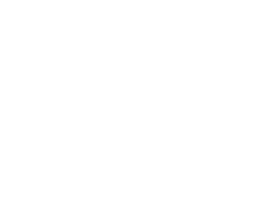 IMG_9700.PNG