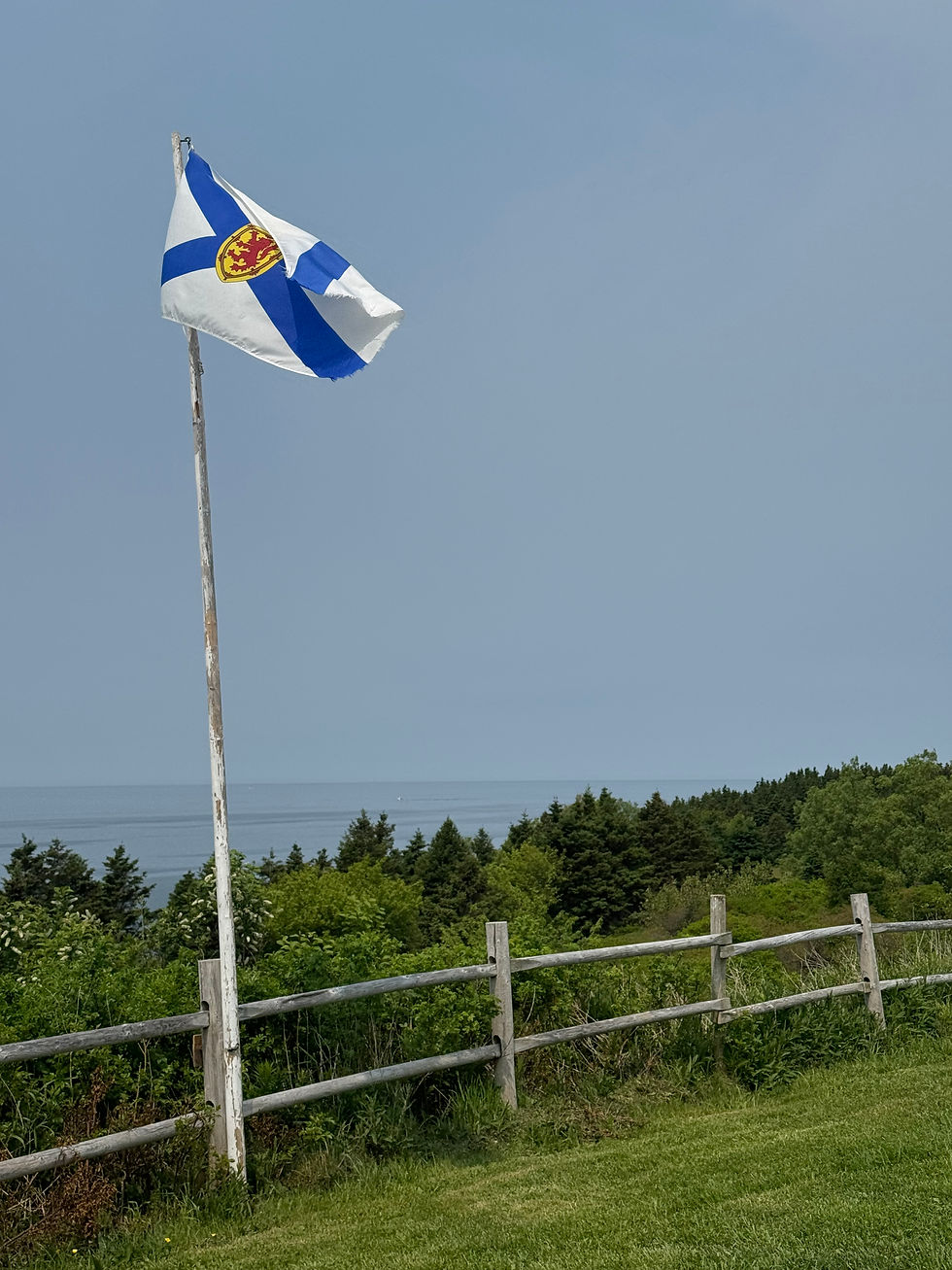 The flag of New Scotland