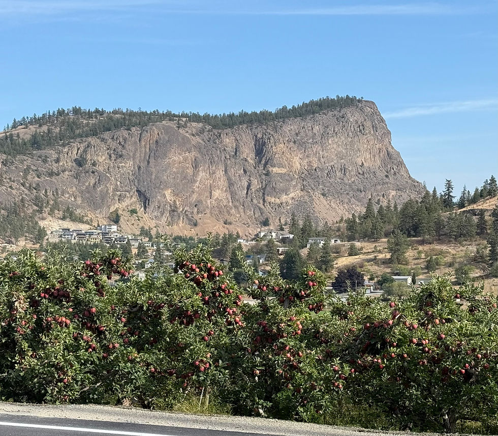 The decent to Summerland past apple orchards.