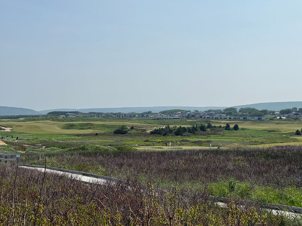 Overlooking a section of the golf course from the beach.