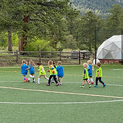 Evergreen Soccer Experience logo