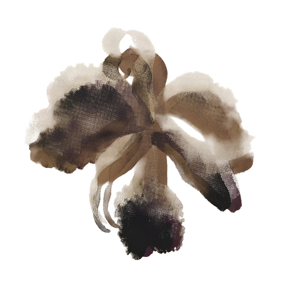 ORQ -- 5 -- ALPHA RSZD.png