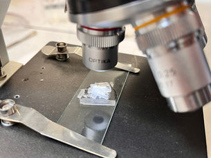 Electromagnetic Fields’ Impact on Salt Crystals