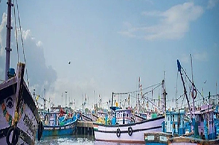 Karnataka begins tender process to mechanise & manage berths at fishing ports
