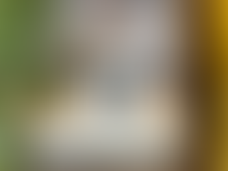 50周年記念品❣️