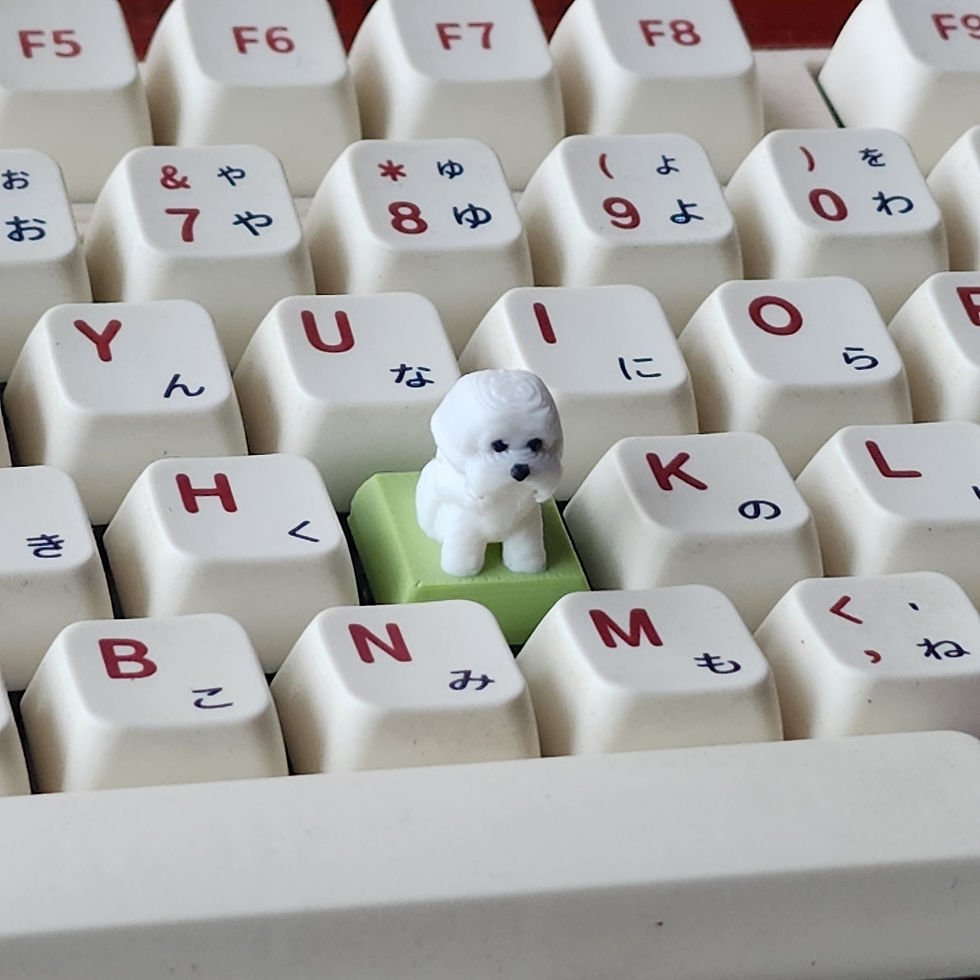 Thumbnail: Maltese