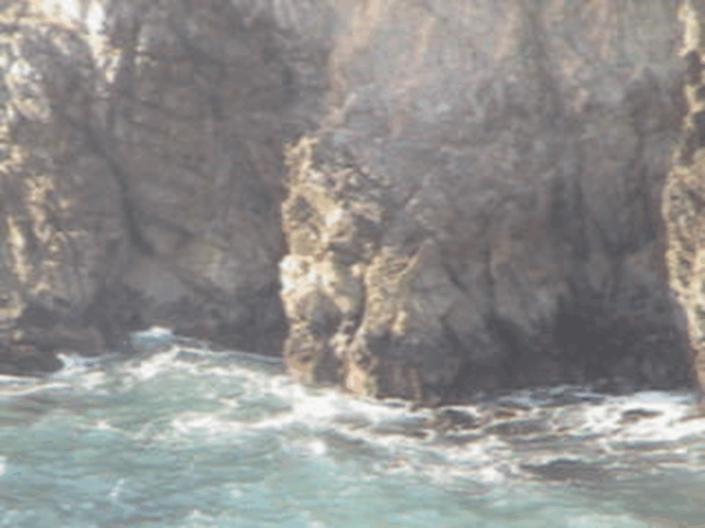 gif 6.gif