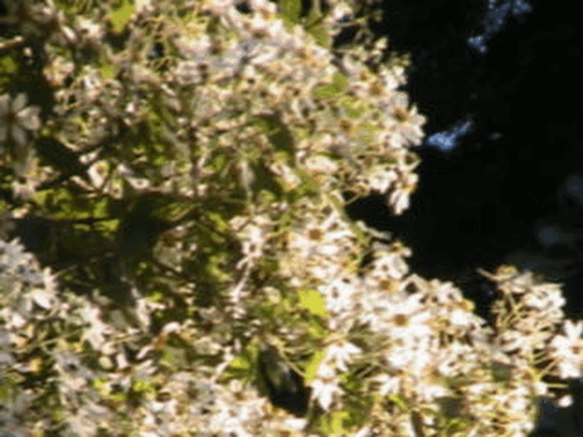 gif 7.gif