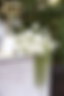 Bar Arrangement-Large (Fresh Flowers)
