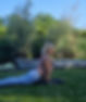 Screenshot_20260527_184946_Gallery.jpg