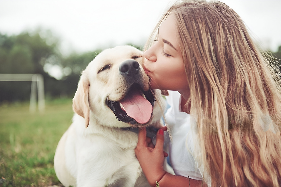 Plan for Your Pets' Future: A Complete Guide to Including Them in Your Will