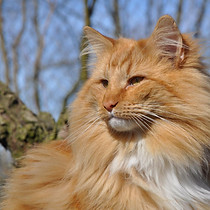 11090940_614682145333290_347533416255622