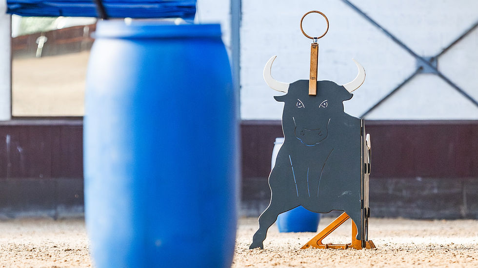 Working Equitation: Dressur & Trail mit Conny Mertens