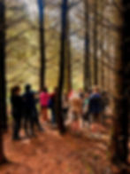 360107999_661673662667028_5838242619125521646_n_edited.jpg