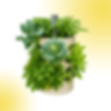 veggybarrel_home_farm.png