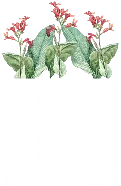 rejuwater module graphic.webp