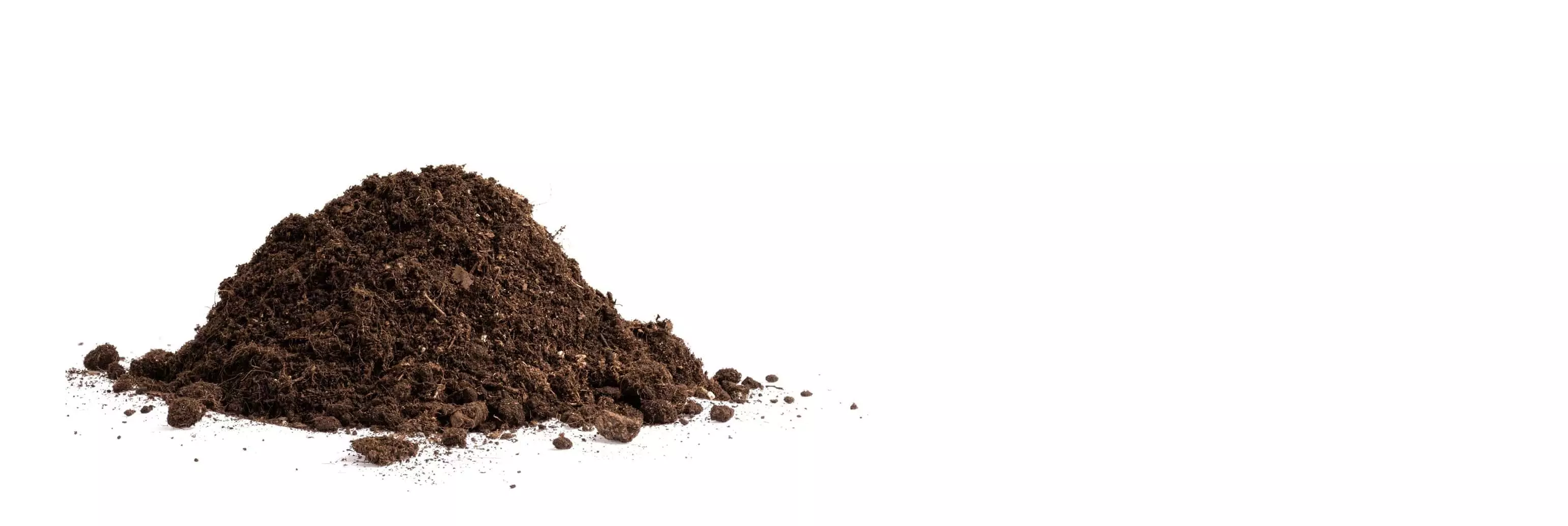 nutritious and earthy smell compost