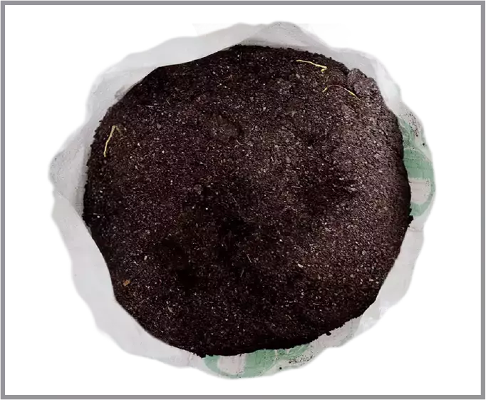 compost produced by organic waste converter machine tallboy