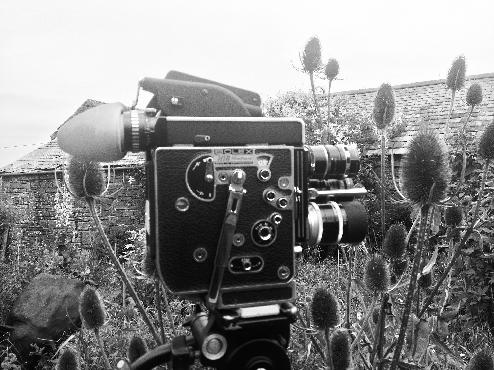 allerdalefilmfarm-26
