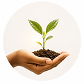 Sowing a Seed.png